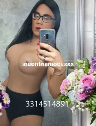 15 - Maya Trans Ancona - 3314514891
