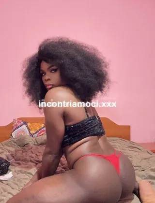 5 - Sandra Trans Messina - 3803858532
