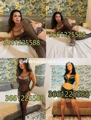 5 - Ylari Trans Roma - 3661225588