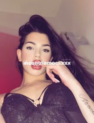 23 - Red Velvet Trans Torino - 3883487109