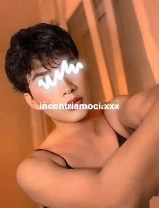 11 - Primcesa Firenze Trans Firenze - 3331412429