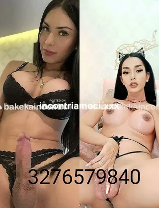 32 - Sabrina Trans Pavia - 3276579840