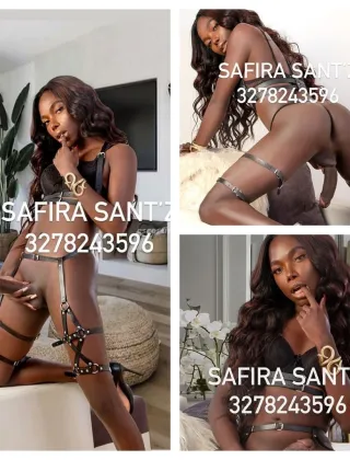 28 - Safira Trans Teramo - 3278243596