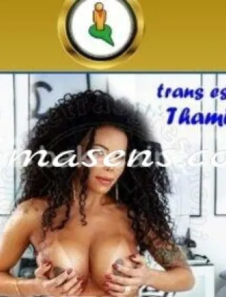13 - Thammy Trans Rimini - 3888678008