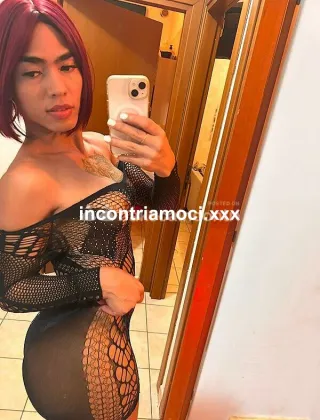 29 - Paris Trans Pescara - 3534805328