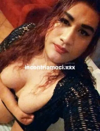 22 - Cataleya Trans Parma - 3891408538