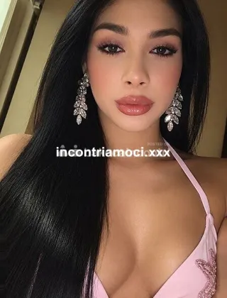 2 - Gabi Trans Novara - 3509976052