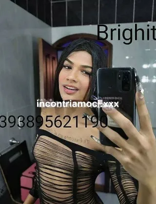 2 - Brighith Trans Trans Torino - 3895621190