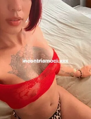 19 - Paris Trans Pescara - 3534805328