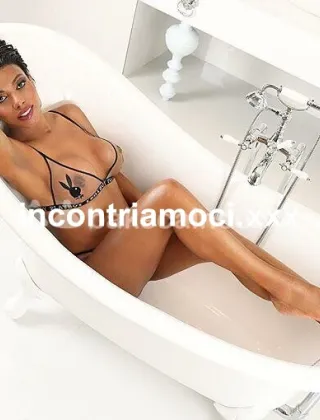 16 - Bruna Trans Ravenna - 3883590038