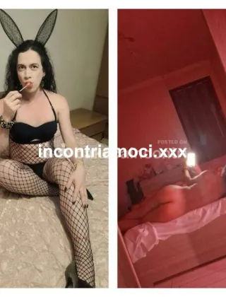 25 - Kiara Trans Varese - 3270333548