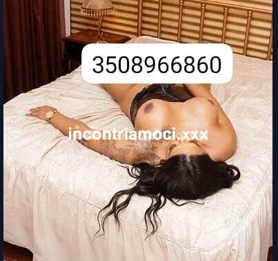 Rosmery Trans