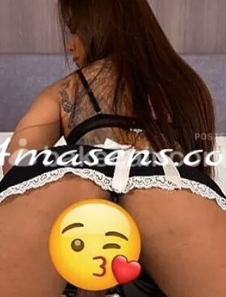 2 - Trans Roma - 3533533423
