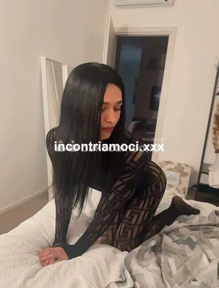 17 - Emilia Trans Reggio Emilia - 3509224503
