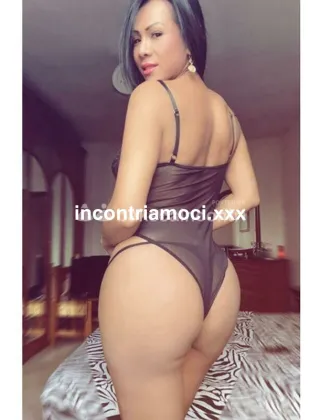 15 - Paula Trans Varese - 3312765079