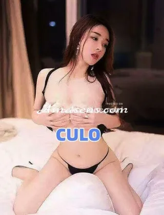 3 - Nuova Escort Novara - 3444329880