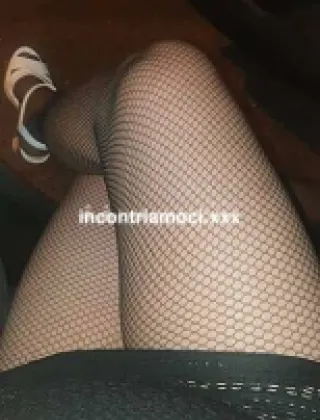 19 - Serena Trans Reggio Calabria - 3275865481
