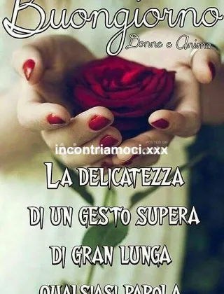 14 - Torodotatoxx Coppie Latina - 3662984882