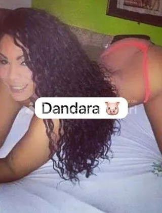 15 - Comfort Trans Pisa - 3284858184
