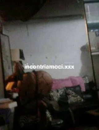 10 - Luciana Trans Genova - 3805856018