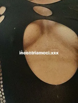 1 - Lola Trans Roma - 3510786952