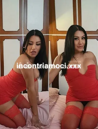 28 - Jazmin Trans Como - 3533298896