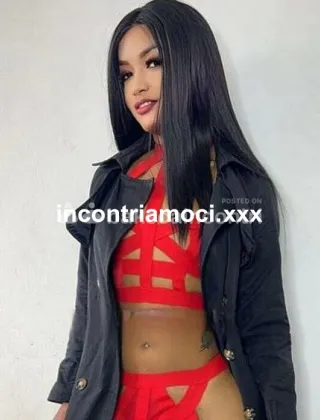 5 - Trans Trans Milano - 3793464809