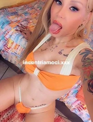 3 - Rebe Trans Milano - 3758115434