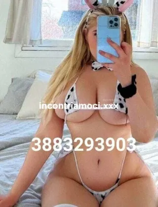 11 - New Escort Lecce - 3883293903