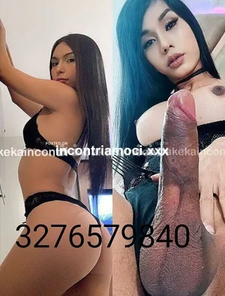 33 - Sabrina Trans Pavia - 3276579840