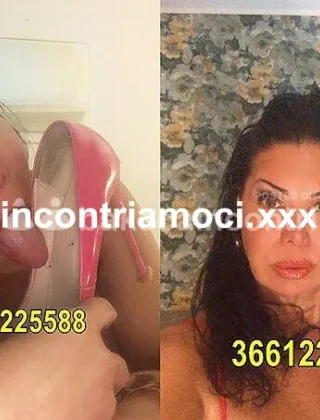 33 - Ylari Trans Roma - 3661225588