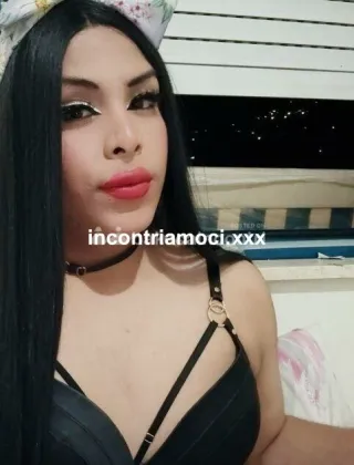 16 - Trans Trans Trento - 3508578836