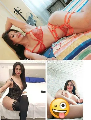 23 - Danna Trans Valle d'aosta - 3450241147