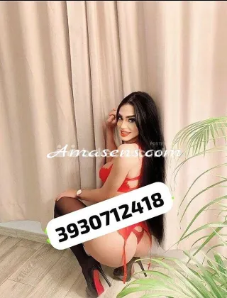 17 - Lorens Star Trans Varese - 3930712418