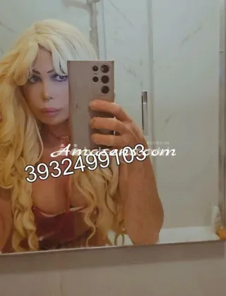 14 - Pamela Trans Teramo - 3932499103
