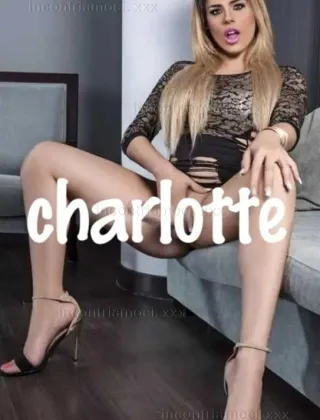 20 - Charlotte Trans Venezia - 3511486390