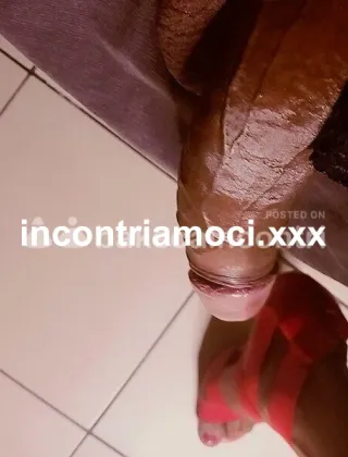 24 - Linda Trans Perugia - 3425202523