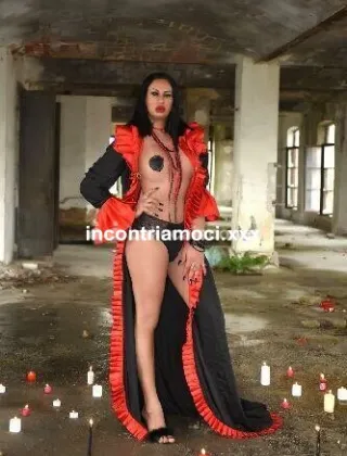 20 - Miranda Trans Sassari - 3294449590