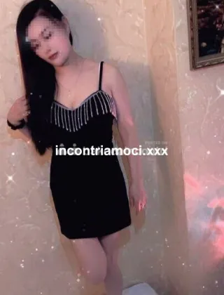 3481132049 - Lisa 22 Escort Milano