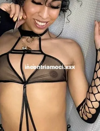 3533037807 - Vittoria 24 Trans Latina Foggia