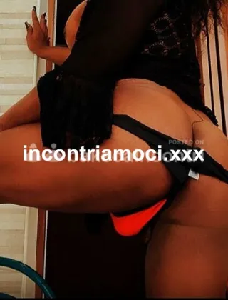 11 - Linda Trans Perugia - 3425202523