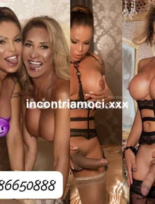 29 - Cheyenne Trans Firenze - 3286650888