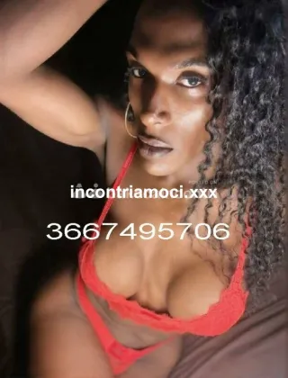 23 - Diana Trans Roma - 3667495706