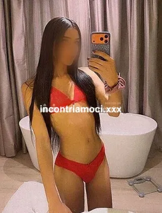 8 - Emilia Trans Reggio Emilia - 3509224503