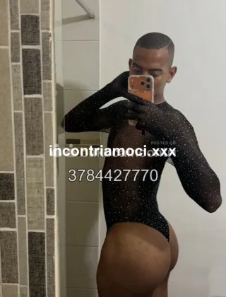1 - Anita Trans Lucca - 3784427770