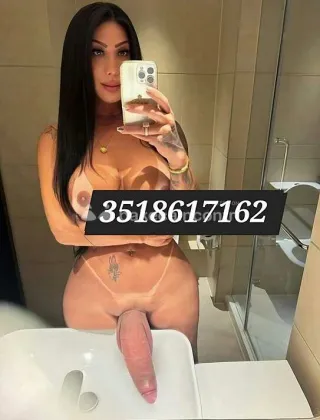 6 - Nina Trans Caserta - 3508617162