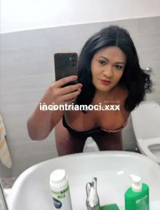 7 - Stella Trans Lodi - 3279258947