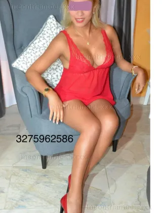 17 - Trans Roma - 3275962586