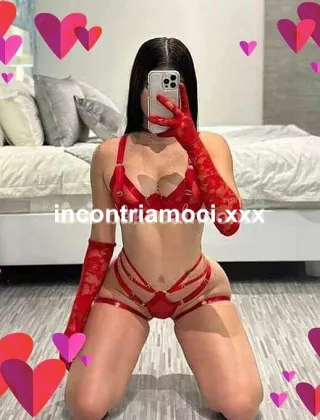 29 - Lunita Trans Treviso - 3533290971