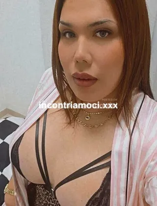 4 - Brandy Trans Bolzano - 3293869715